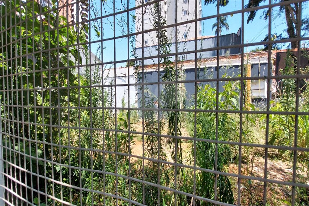 Terreno à venda ou para alugar em Chácara Santo Antônio, São Paulo, SP