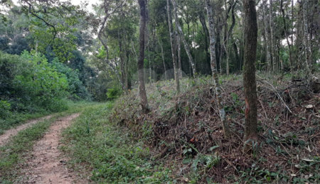 Terreno à venda em Roseira, Mairiporã, SP