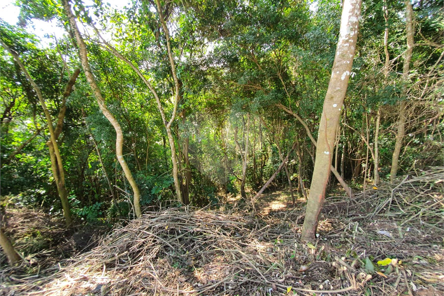 Condomínio à venda em Serra da Cantareira, Mairiporã, SP