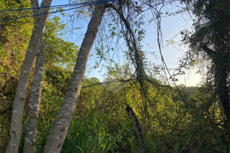 Terreno à venda em Albatroz, Armação dos Búzios, RJ