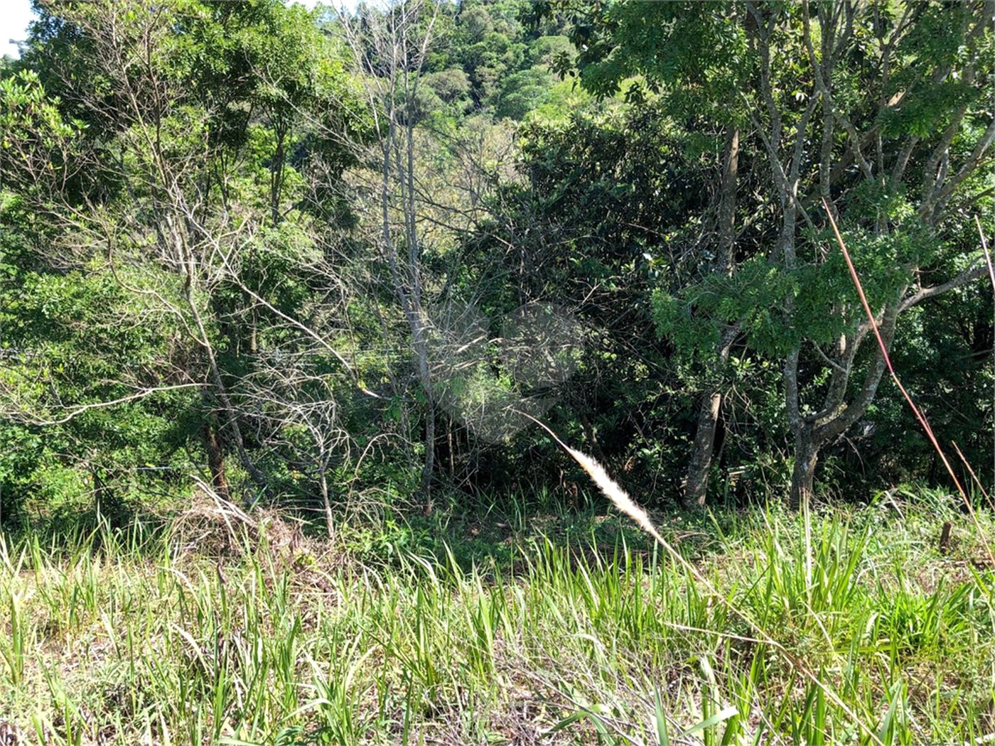 Terreno à venda em Bairro do Cambará, São Roque, SP