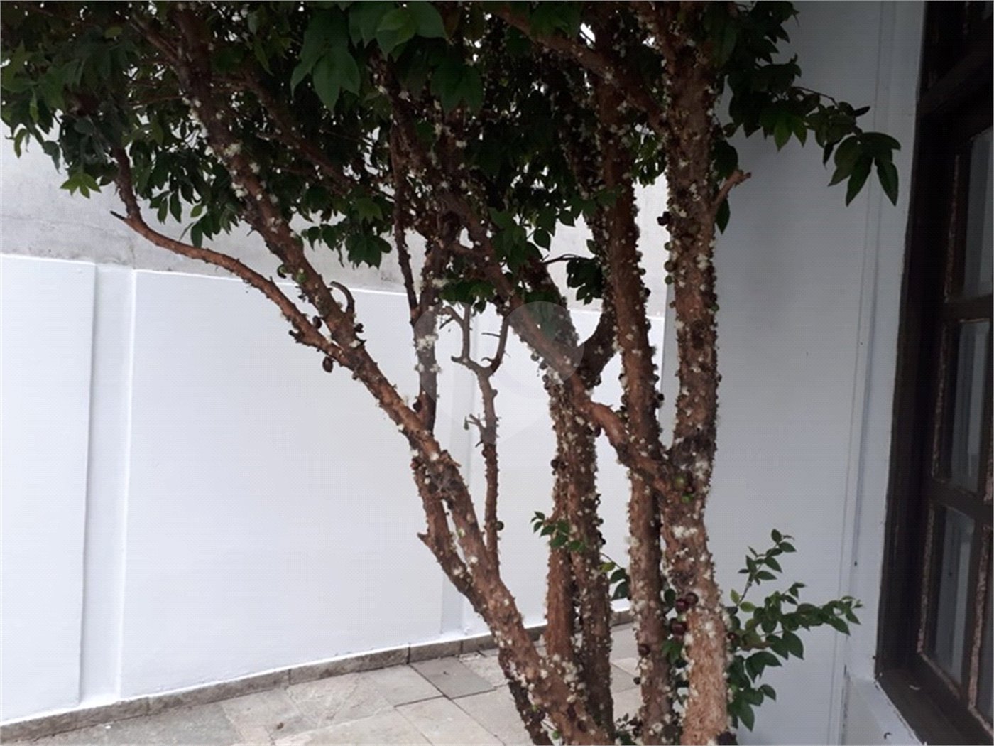 Sobrado à venda com 5 quartos, sendo 3 suítes, em Tremembé, São Paulo, SP