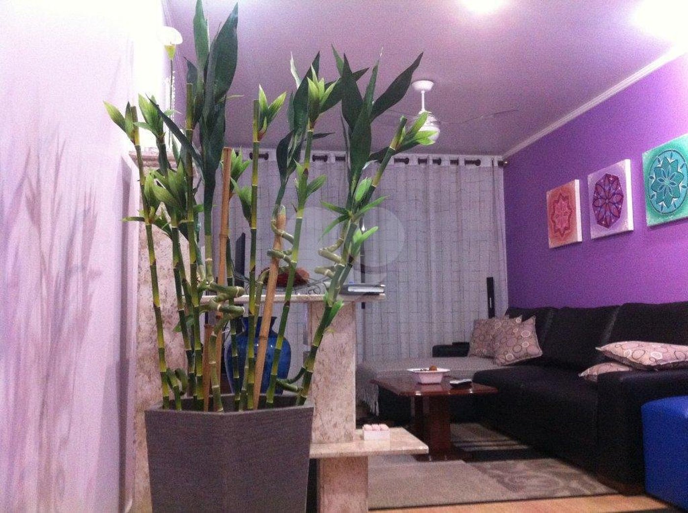 Sobrado à venda com 3 quartos, sendo 1 suíte, em Vila Guilherme, São Paulo, SP