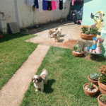Casa à venda com 1 quarto em Vila Rio Branco, Itapetininga, SP