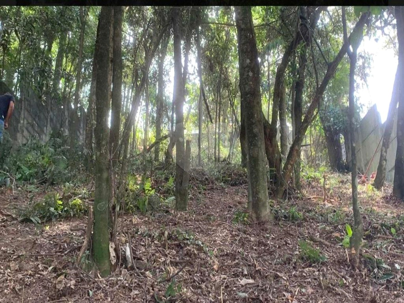 Terreno à venda em Jardim Peri Peri, São Paulo, SP