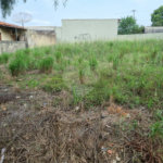 Terreno à venda no Centro, Vinhedo, SP