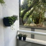 Casa de Vila à venda com 2 quartos, sendo 1 suíte, em Silveira, Santo André, SP