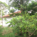 Casa Térrea à venda com 1 quarto em Santana, São Paulo, SP
