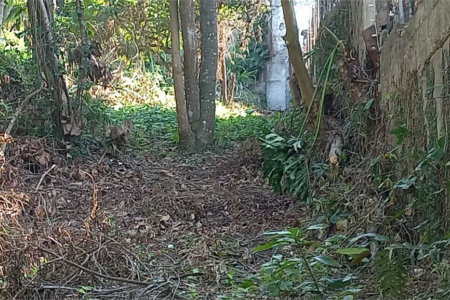 Terreno à venda em Vila Tramontano, São Paulo, SP