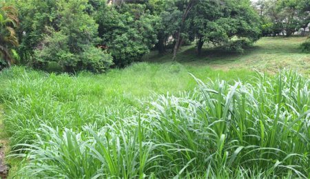 Terreno à venda em Marambaia, Vinhedo, SP