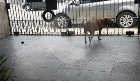 Sobrado à venda com 3 quartos, sendo 1 suíte,  em Jardim Olympia, São Paulo, SP