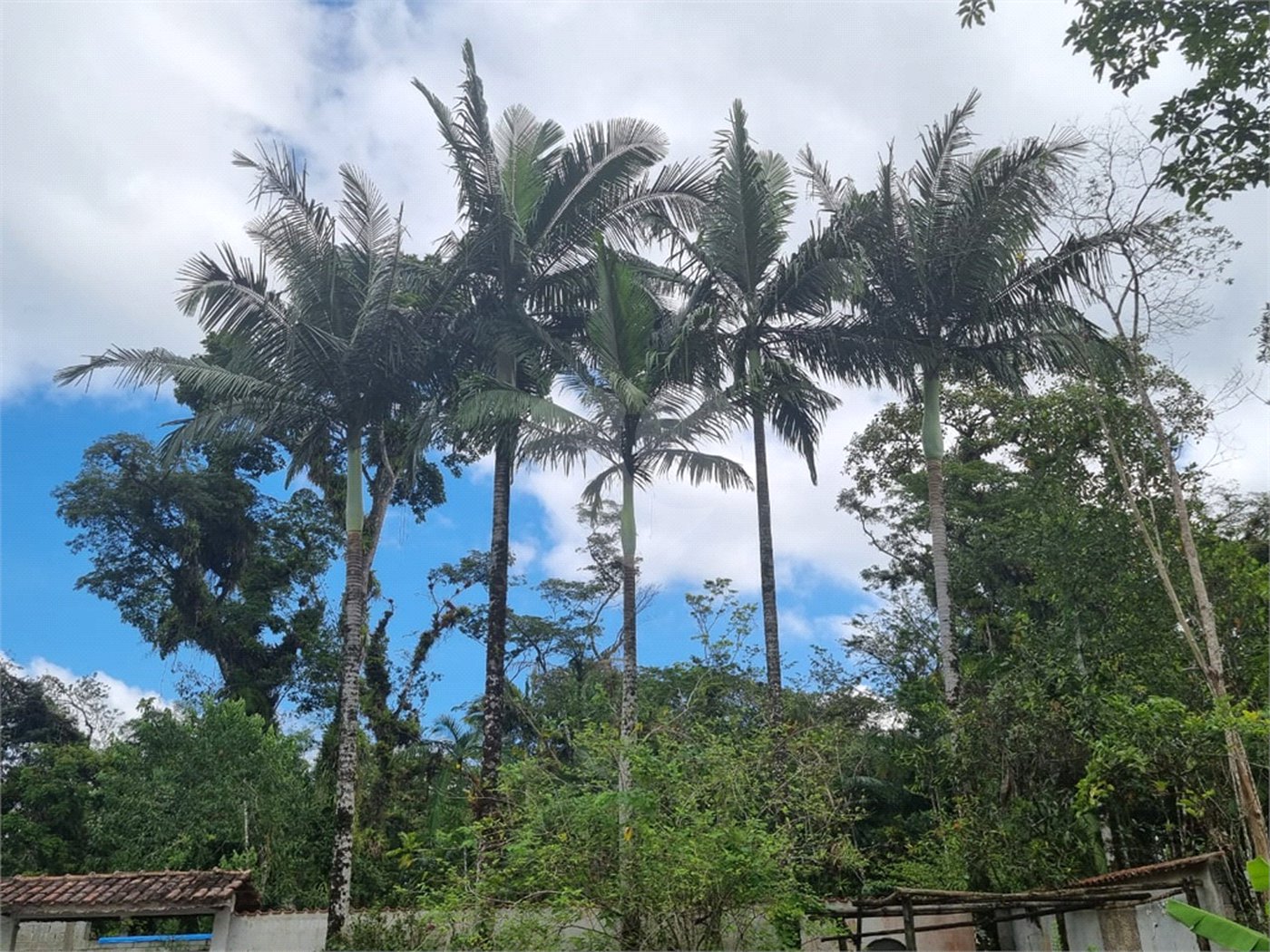 Chácara à venda com 4 quartos em Aguapeú, Itanhaém, SP