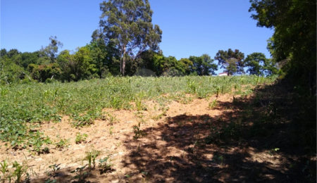 Área de Terra à venda em Cristóvão, Araçoiaba da Serra, SP