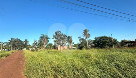 Terreno à venda em Pedro Juan Caballero, Amambay