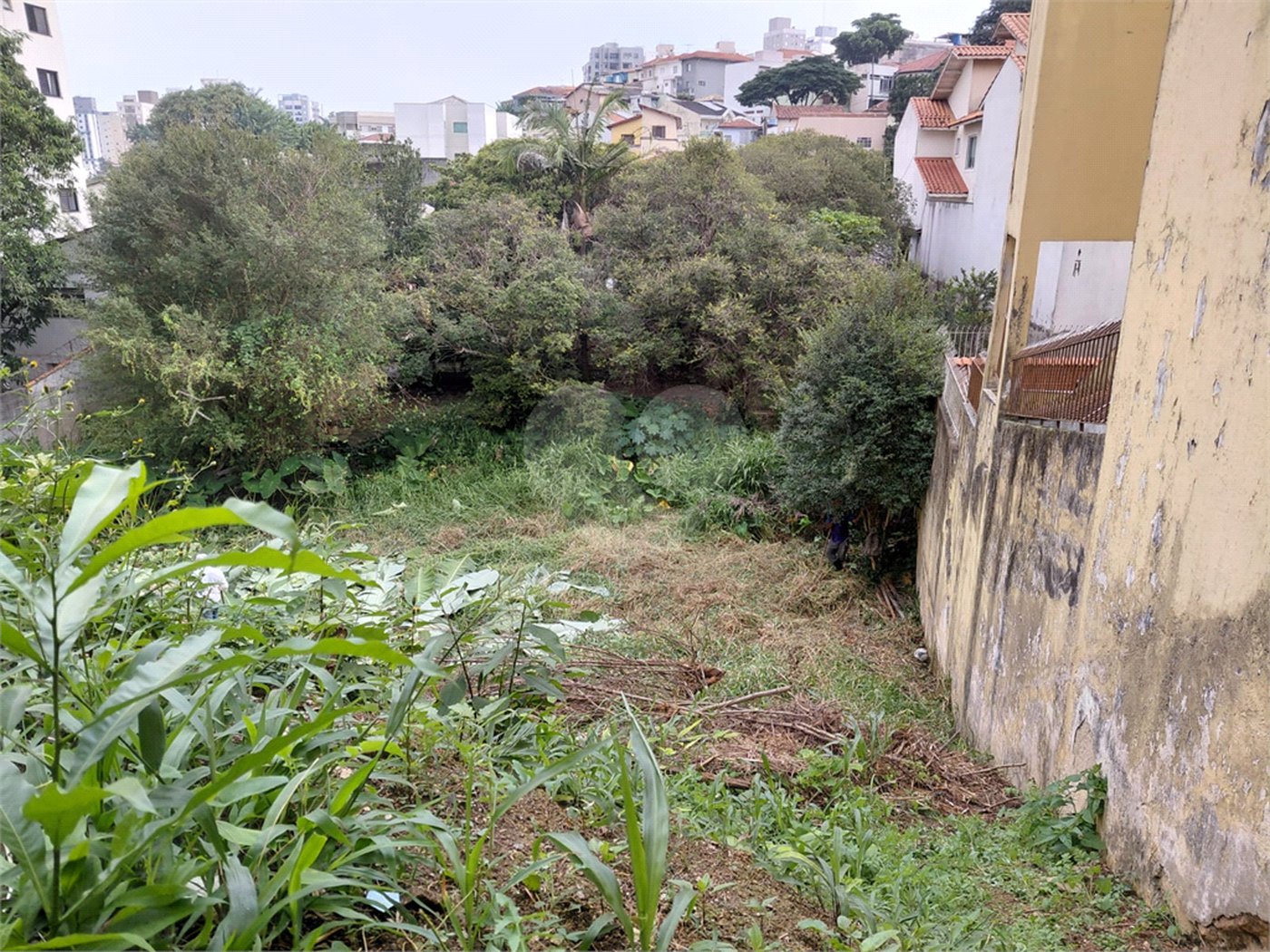 Terreno à venda em Tucuruvi, São Paulo, SP