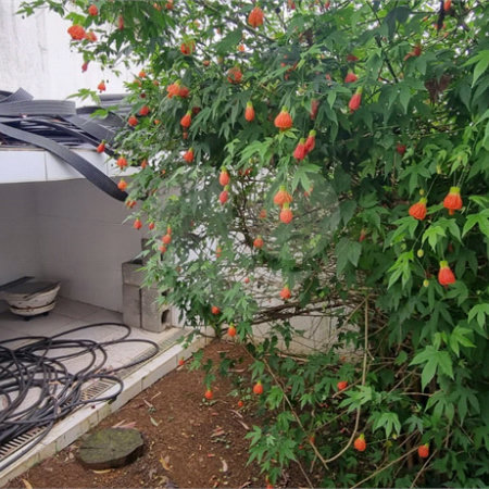 Casa à venda com 5 quartos, sendo 2 suítes, no condomínio Swiss Park, São Bernardo do Campo - SP