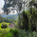 Casa Térrea à venda com 3 quartos, sendo 1 suíte, em Rio Abaixo, Mairiporã, SP