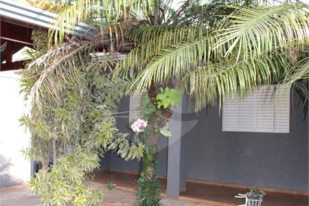 Casa à venda ou para alugar com 2 quartos em Jardim Santa Helena, Valinhos, SP