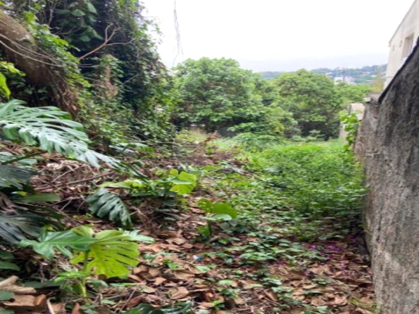 Terreno à venda em Jardim Leonor, São Paulo, SP