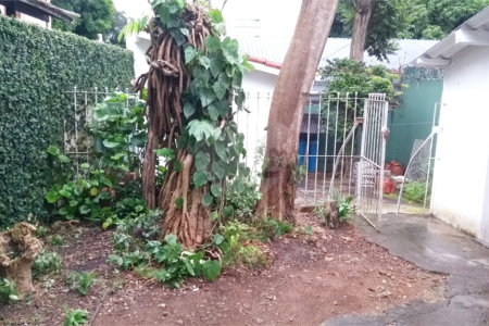 Sobrado à venda com 3 quartos em Chácara Santo Antônio (zona Sul), São Paulo, SP
