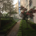 Apartamento à venda com 2 quartos em Casa Verde, São Paulo, SP