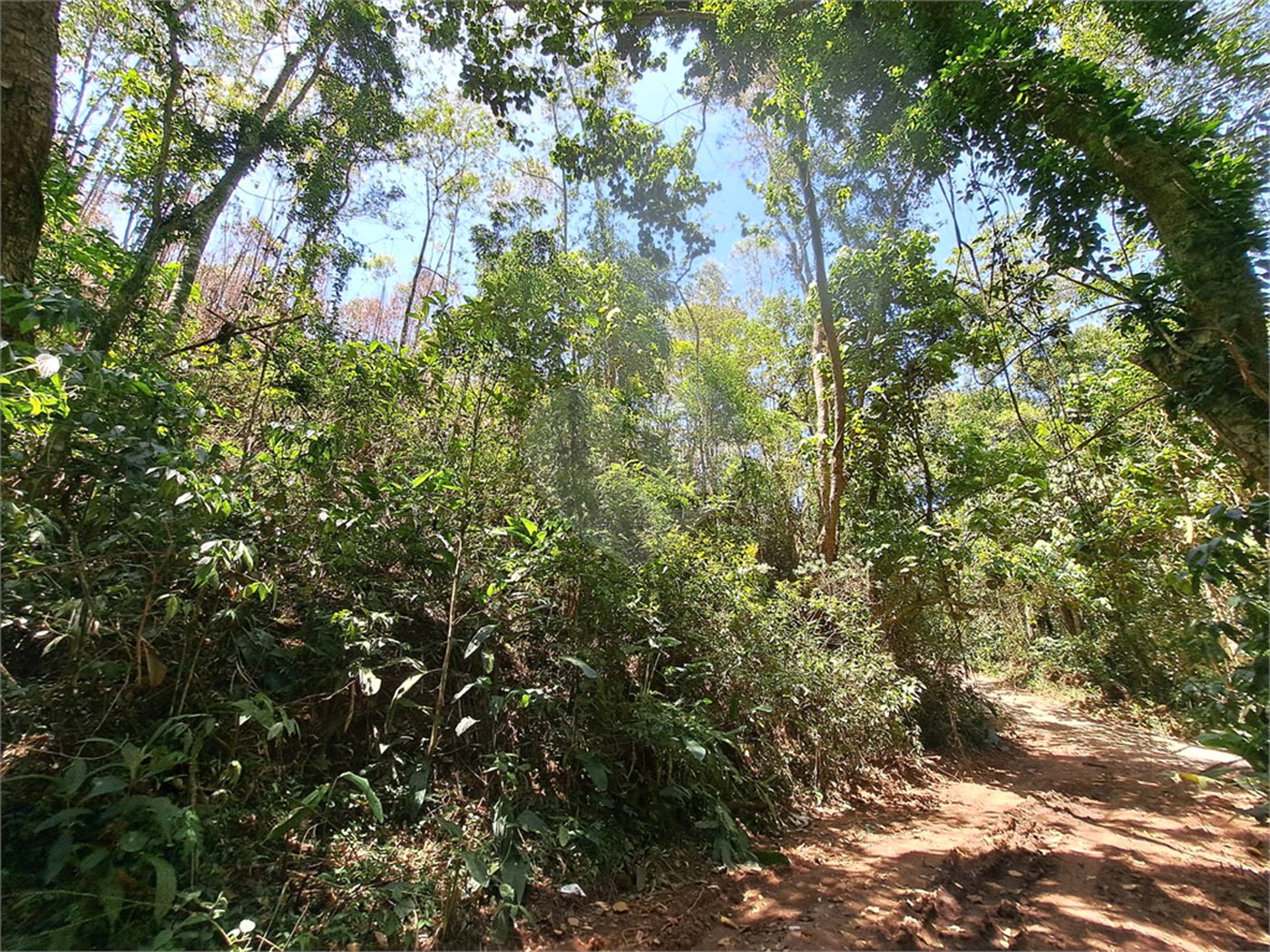 Terreno à venda em Serra da Cantareira, Mairiporã, SP