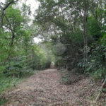 Terreno à venda em Chácaras Fernão Dias, Atibaia, SP
