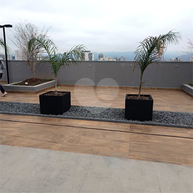 Apartamento à venda com 2 quartos em Tucuruvi, São Paulo, SP