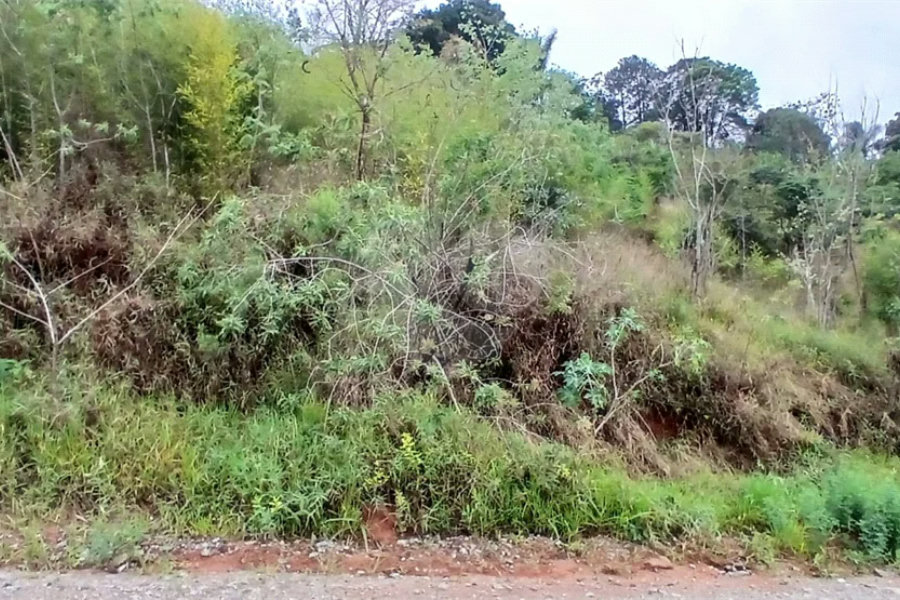 Terreno à venda em Luiz Fagundes, Mairiporã, SP