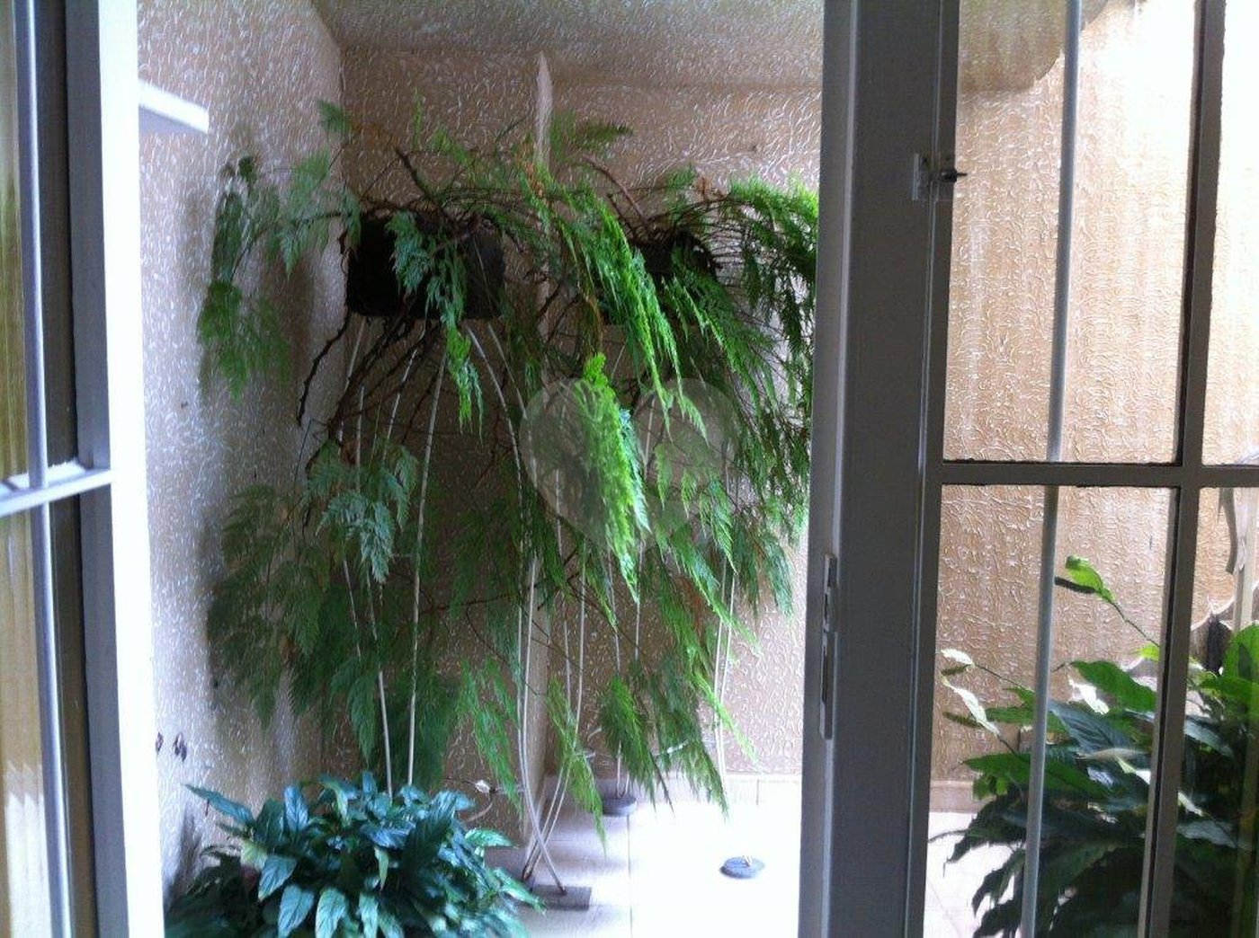 Sobrado à venda com 2 quartos em Vila Maria Alta, São Paulo, SP