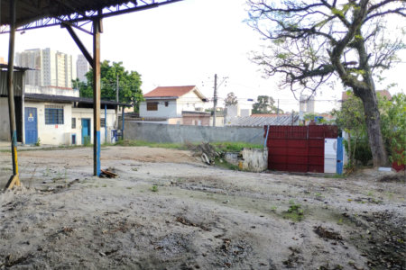 Terreno para alugar em Vila Santa Catarina, São Paulo, SP