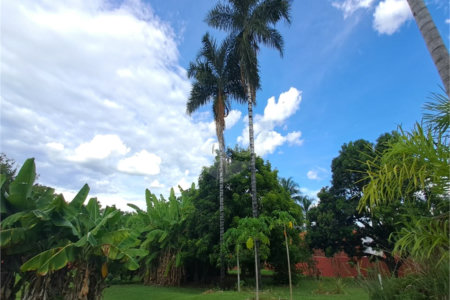 Casa à venda com 3 quartos, sendo 1 suíte, no condomínio Residencial Vale das Laranjeiras, Indaiatuba - SP
