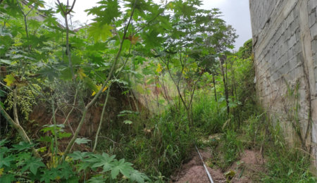 Terreno à venda em Santana, São Paulo, SP