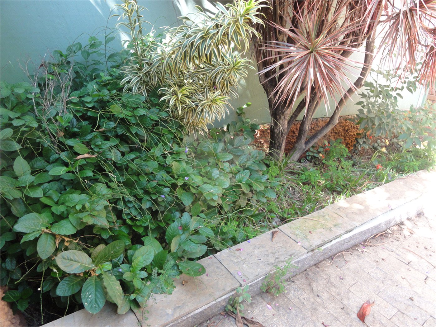 Sobrado à venda com 3 quartos, sendo 1 suíte, em Mandaqui, São Paulo, SP