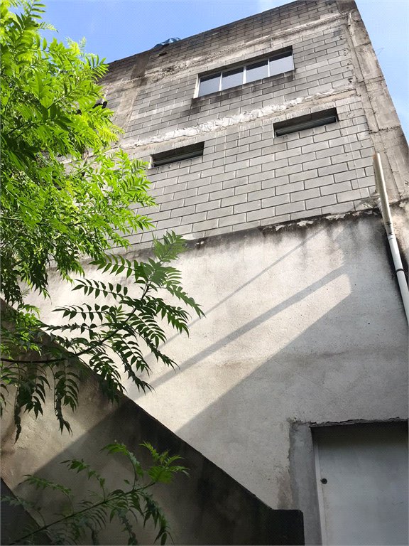 Galpão para alugar em Limão, São Paulo, SP