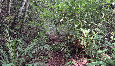Terreno à venda no condomínio Campos de Mairiporã Gleba 1, Mairiporã - SP