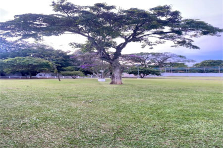Excelente Chácara à Venda em Itupeva/SP – Próxima a Indaiatuba