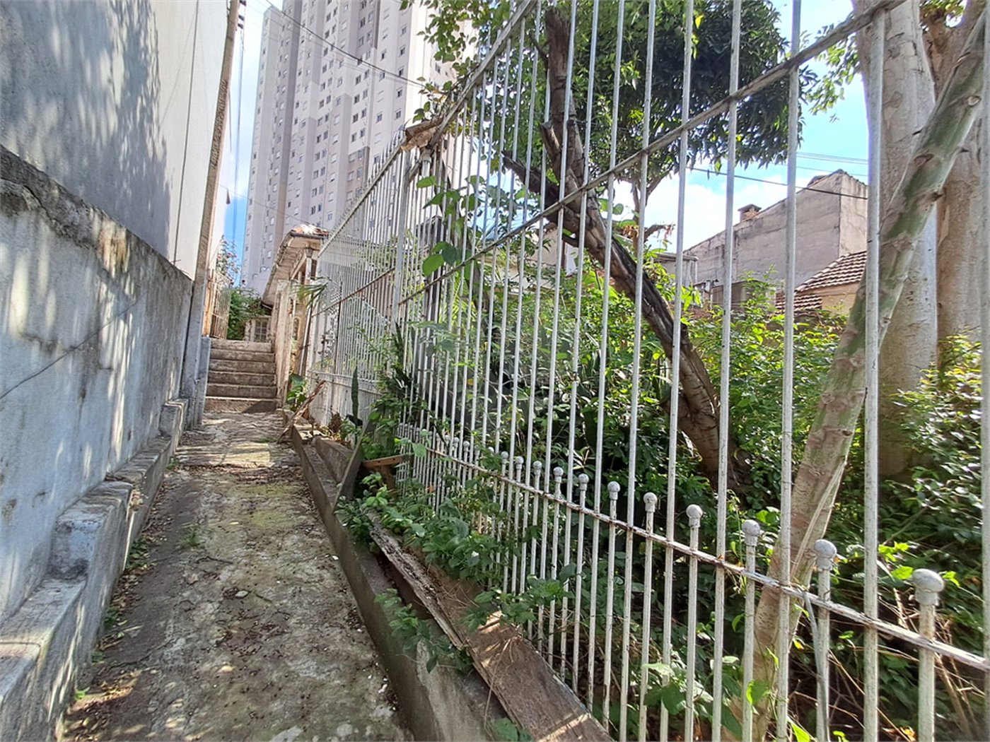 Casa à venda com 3 quartos em Vila Gustavo, São Paulo, SP