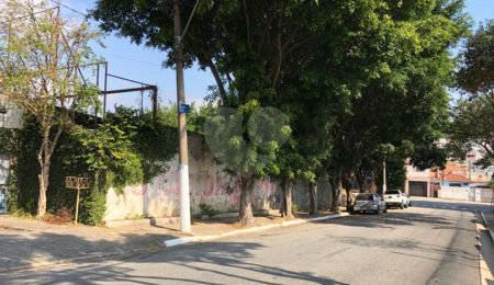 Terreno à venda ou para alugar em Vila Formosa, São Paulo, SP