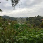 Terreno à venda em Barro Branco (zona Norte), São Paulo, SP
