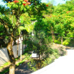 Sobrado à venda com 6 suítes em Jardim Cordeiro, São Paulo, SP