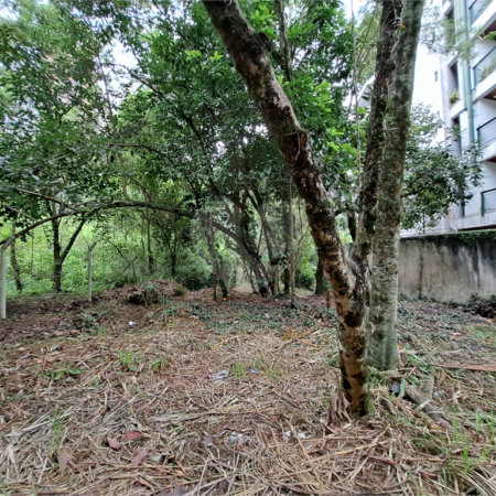 Terreno à venda em Jardim Ampliação, São Paulo, SP
