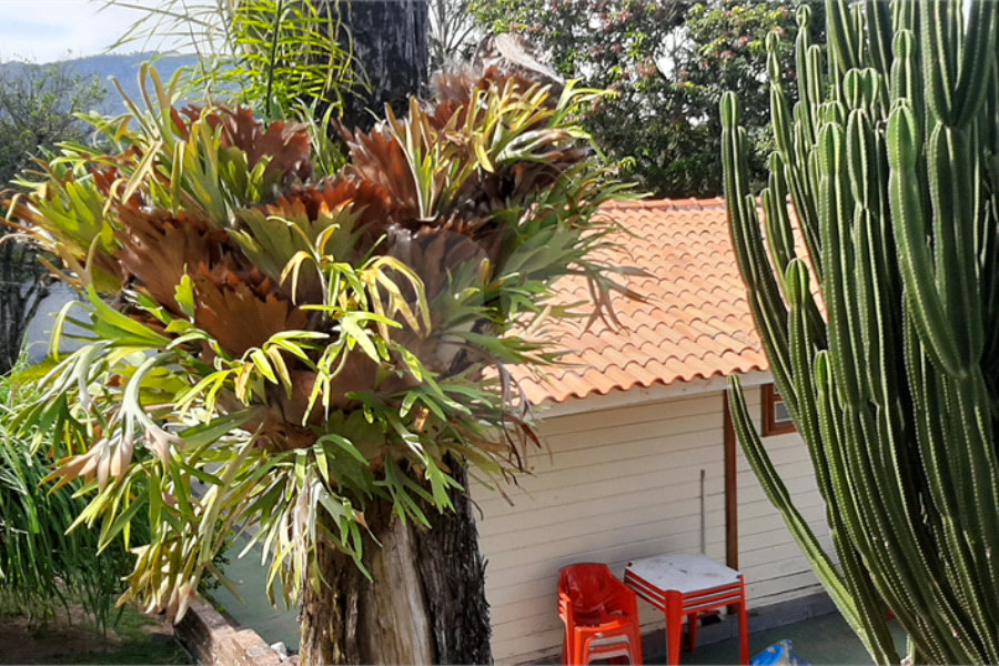 Casa Térrea à venda com 3 quartos, sendo 1 suíte,  em Serra da Cantareira, Mairiporã, SP
