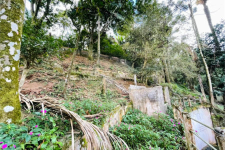 Terreno à venda em Tucuruvi, São Paulo, SP