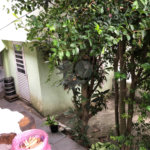 Casa à venda com 4 quartos em Vila Nova Cachoeirinha, São Paulo, SP