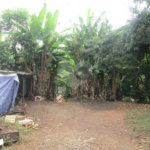 Terreno à venda em Palmas do Tremembé, São Paulo, SP