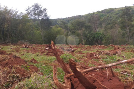 Sítio à venda com 2 quartos no Centro, Descalvado, SP