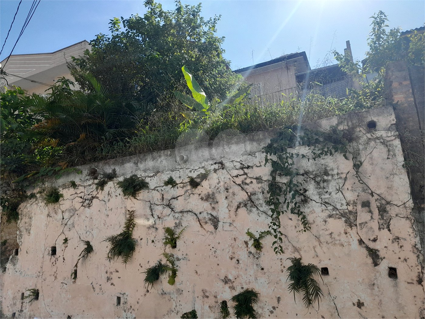 Terreno à venda em Vila Mazzei, São Paulo, SP