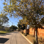Terreno em condomínio à venda em Porto, Capela do Alto, SP