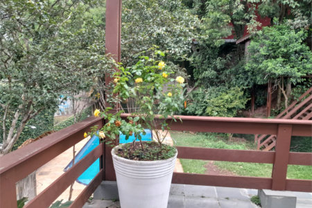 Sobrado à venda com 6 quartos, sendo 3 suítes, em Rolinópolis, São Paulo, SP